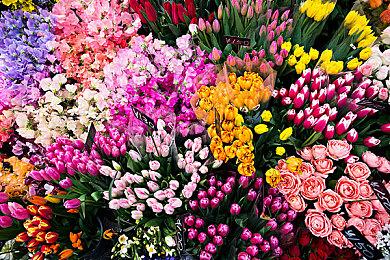 《喋血复仇》丧尸大喊尼哥 华纳：这是意外 会修改